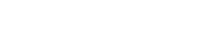 Vignsy.com Logo